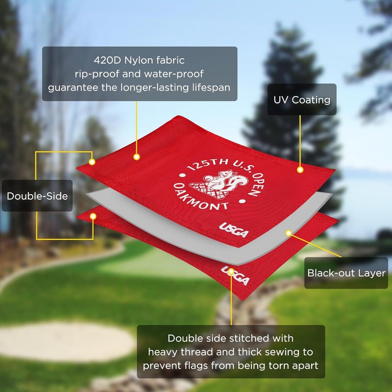 COGOLFING 2025 Themed Mini Golf Flag, 8x6 Inch, Double-Sided Silk-Printed, Durable 420D Nylon, Ideal for Backyard Practice Putting Green - Image 3